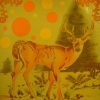 WHITE TAIL