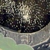 deer plate