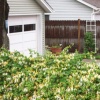 akron home