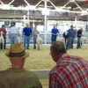 iowa state fair