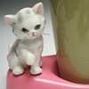CAT WITH WISKERS AND CUP
