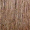 untitled (birch pattern)