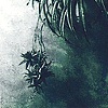 Artificial Plant (Abe)