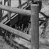 The Ranch