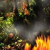 The Element of Fire
