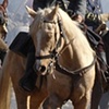 Ladies and Gentlemen of the Cavalry