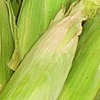 White Corn