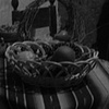 Offerings