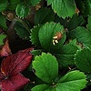 Standing Out In A Crowd