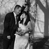 Their Perfect Day