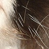 Go Ahead, Ask Me If I Care (Close-up)