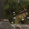 At Carmel Mission