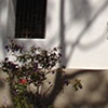 San Luis Obispo Mission
