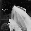 Wedding Bells