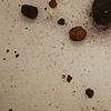 The Dust Gathers to Us All