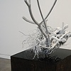 The Allusion of Memory