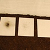 The Studio