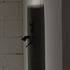 Threshold 