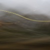 Trail