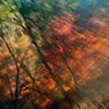 Fall on NY-7