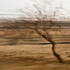 en route, Negev