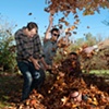 MiniBoone: Leaf Fight