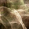 Light Branches