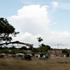 en route from Belize City