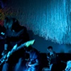 Pet Ghost Project at Cameo Gallery