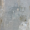 Golden Gray