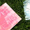 Landscaping In Grass