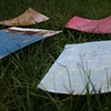 Works on Paper "Landscaping"