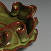 Dish