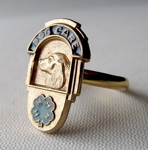 Dog Care Ring