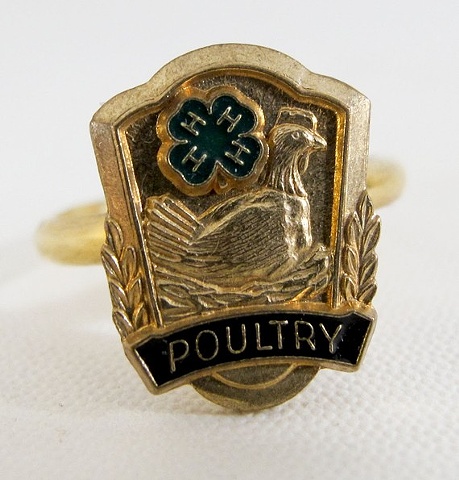 Poultry Ring