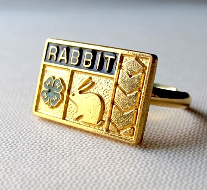 Rabbit Ring