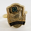 Poultry Ring