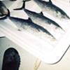 3 fish