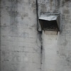 exhaust