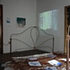 We all fall down-3. Full room installation in End of Nature exhibit