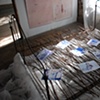 We all fall down-5. Full room installation in End of Nature exhibit
