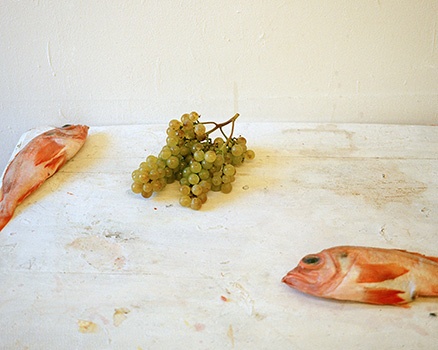 Still Life #5