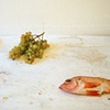 Still Life #5