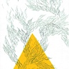 untitled (fur)