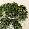 Swampthing