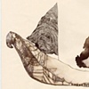 Beneath Broken Boards We Sail (Digital Prints)