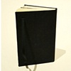 Bill McRight limited edition artist's book