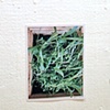 Photographic References, Containment