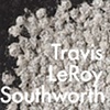 Travis LeRoy Southworth
Aggregates, Absurd Infinities and Absent Mindedness