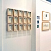 Installation Photograph